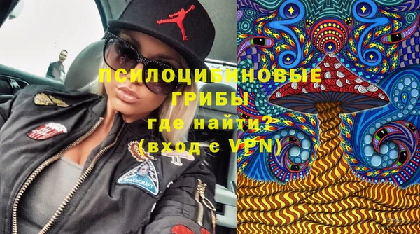 амф Зеленокумск