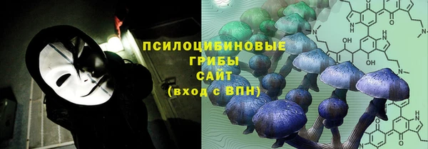 амф Зеленокумск