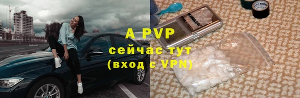 амф Зеленокумск