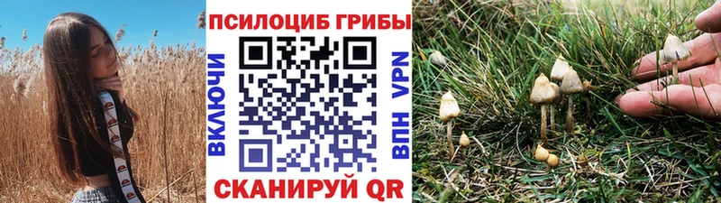 Купить  Бокситогорск  Галлюциногенные грибы мицелий 