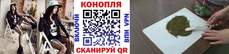 Купить где  Бокситогорск  Конопля гибрид 